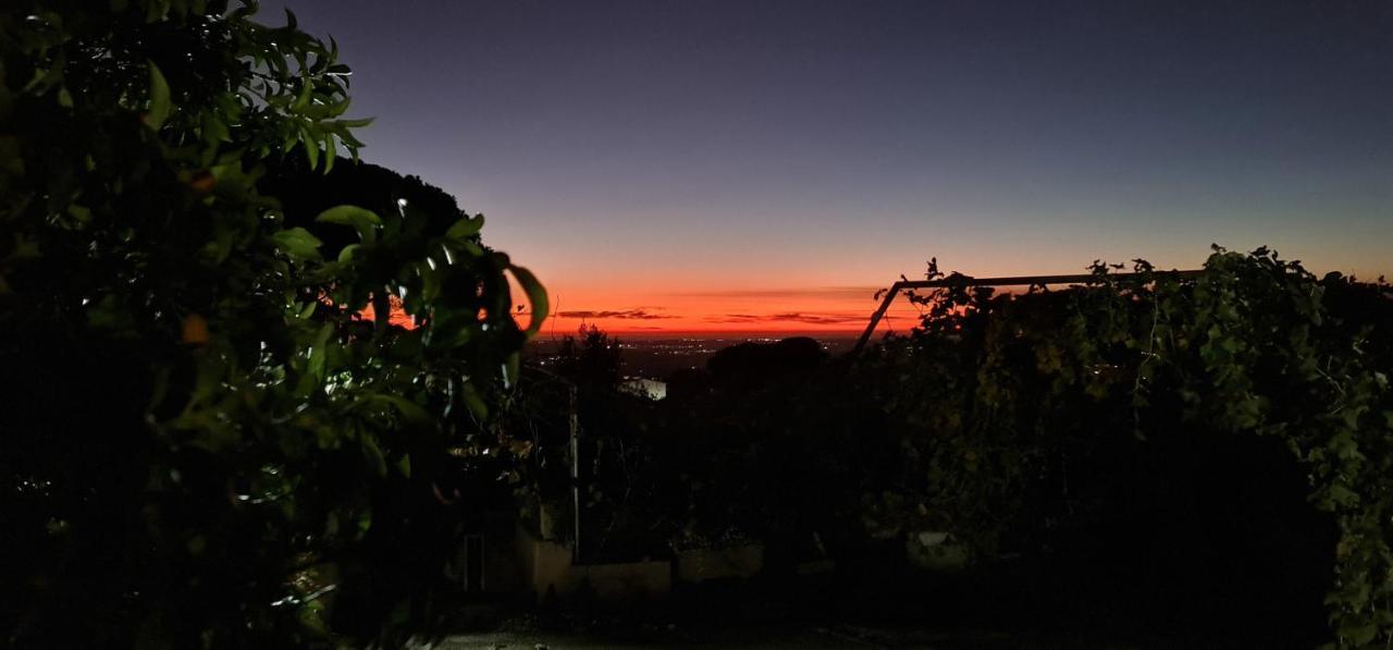 Al Focolare Di Enzo Villa Marino Bagian luar foto